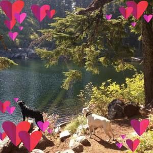 Meet your Posher, Alysson